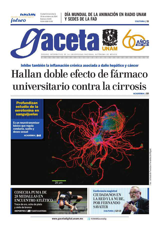 Portada